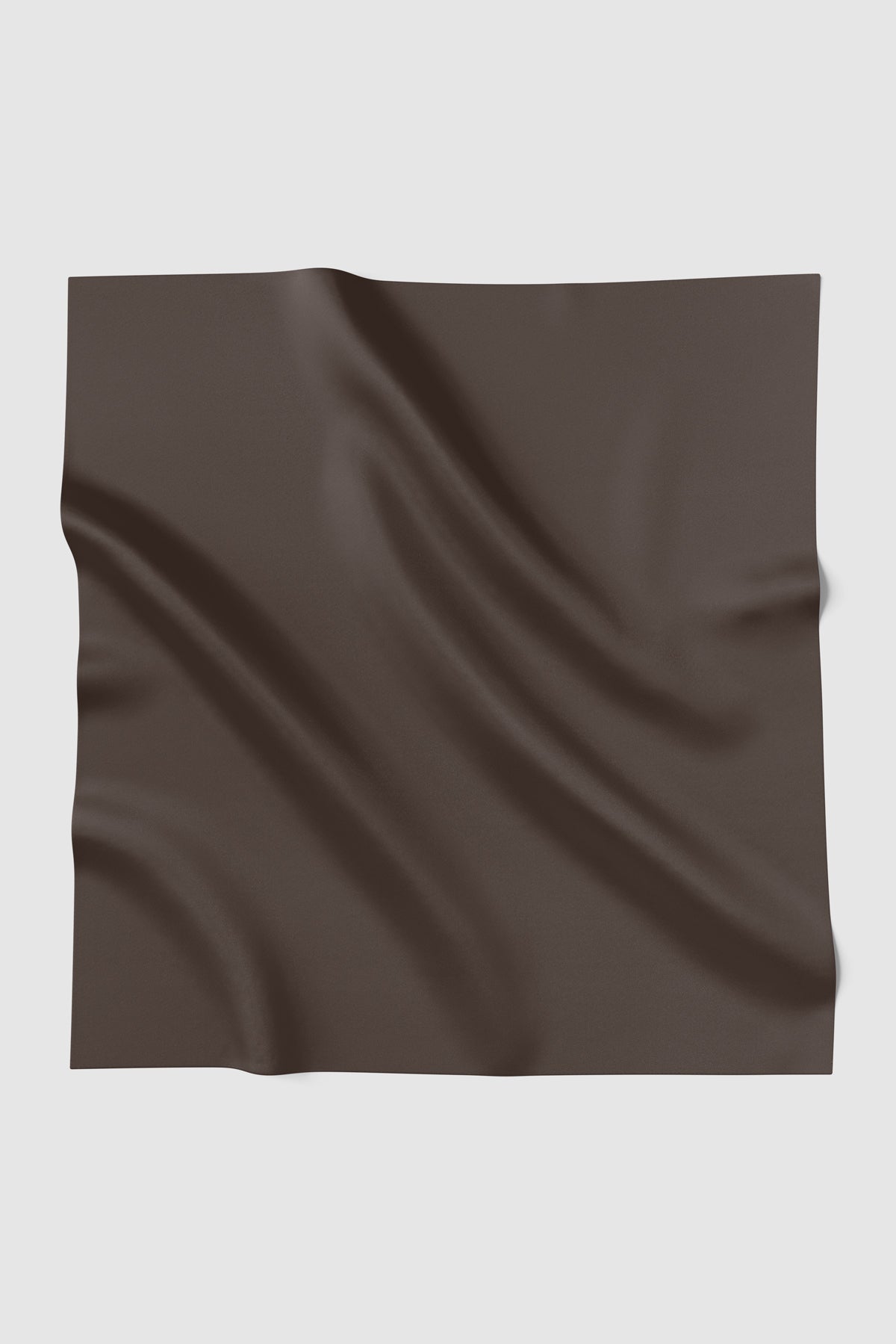 Sunday Square - Seal Brown
