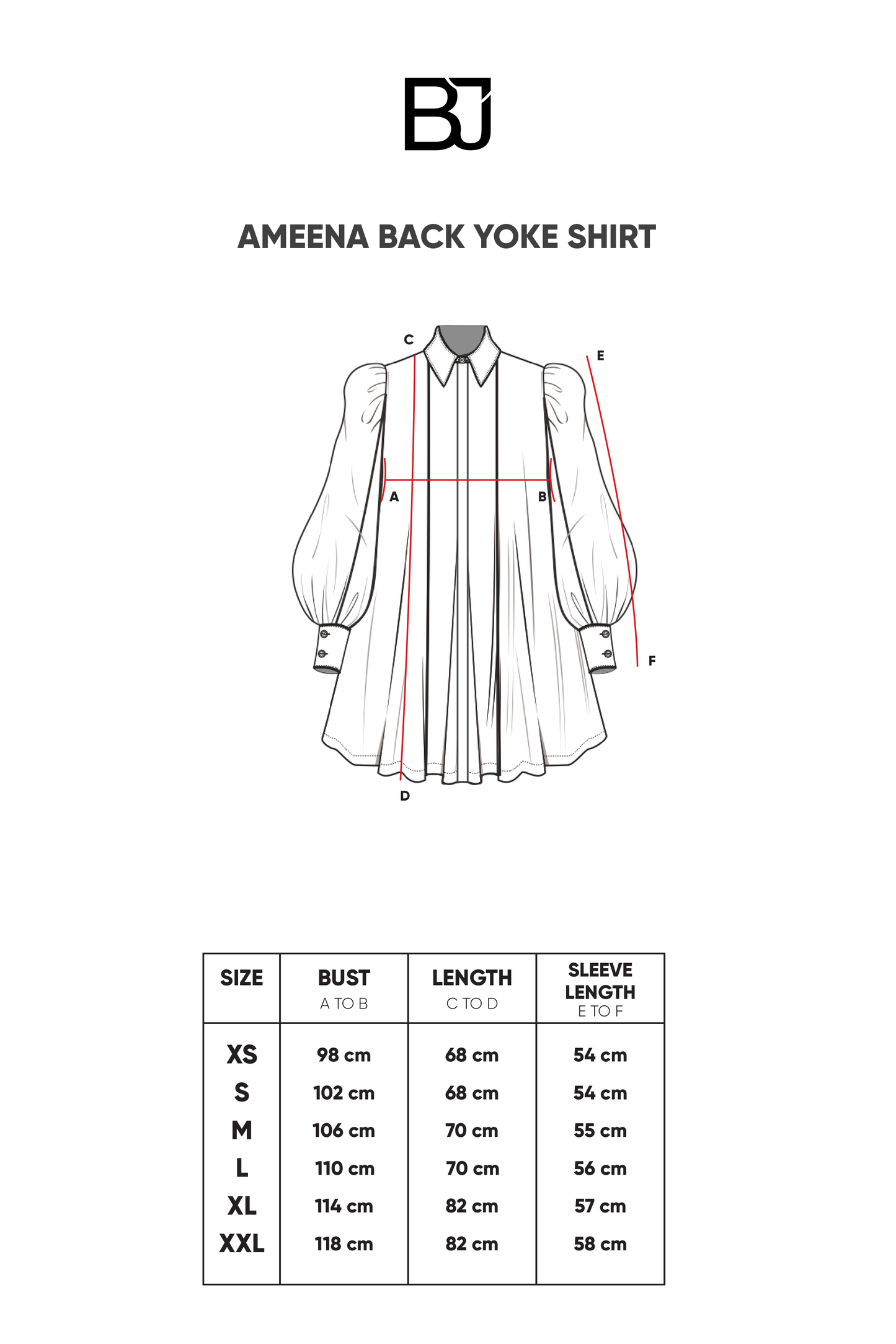 Ameena Back Yoke Shirt - Multicolor